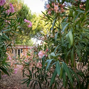 spalla-country.sicilyhotelsitaly.net/